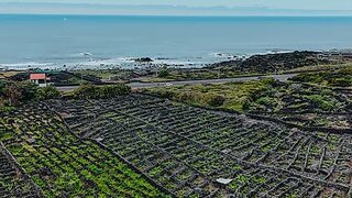 Land for sale in Madalena, Portugal — €250,000