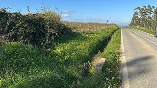 Land for sale in Torres Vedras, Portugal — €30,000
