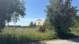Land for sale in Anadia, Portugal — €55,000