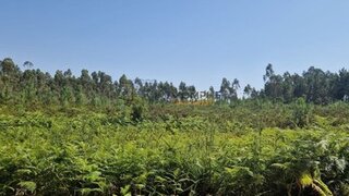 Land for sale in Pombal, Portugal — €65,000