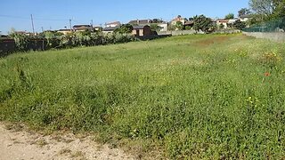 Land for sale in Águeda, Portugal — €55,000