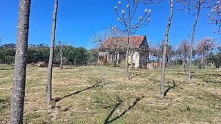 Land for sale in Nelas, Portugal — €52,500