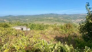 Land for sale in Sernancelhe, Portugal — €12,500