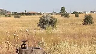 Terreno em Campo Maior