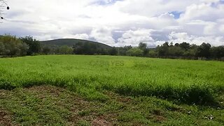 Land for sale in Loulé, Portugal — €38,000