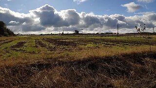 Land for sale in Benavente, Portugal — €127,000