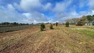 Land for sale in Caldas da Rainha, Portugal — €150,000