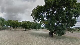 Land for sale in Idanha-a-Nova, Portugal — €14,500