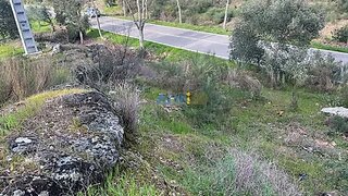 Terreno em Horta