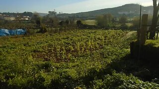 Terreno · 1787 m² · 250 000 €