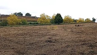 Land for sale in Vila Nova de Cerveira, Portugal — €370,000
