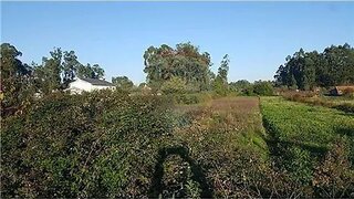 Land for sale in Tondela, Portugal — €20,000