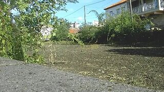 Land for sale in Tarouca, Portugal — €40,000