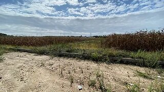 Terreno de 292 m² em Aveiro