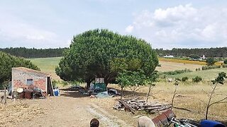 Land for sale in Torres Vedras, Portugal — €100,000