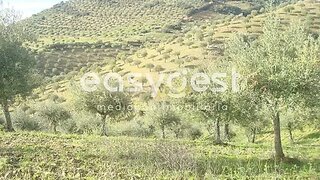 Terreno · 130 996 m² · 1 200 000 €