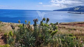 Land for sale in Machico, Portugal — €290,000