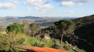 Terreno em Guarda