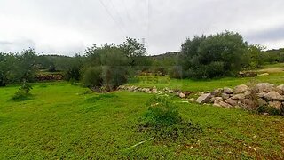 Terreno de 12 480 m² em Faro