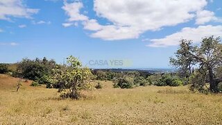 Land for sale in Loulé, Portugal — €65,000