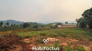 Terreno em Santa Comba Dão