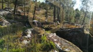 Land for sale in Viseu, Portugal — €55,000
