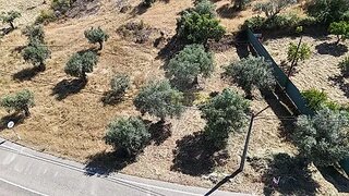 Terreno em Castelo Branco · 480 m² · 9250 €
