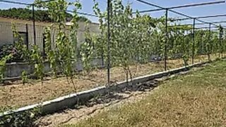 Land for sale in Palmela, Portugal — €180,000