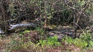 Land for sale in Seia, Portugal — €20,000