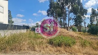 Land for sale in Anadia, Portugal — €50,000