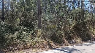Land for sale in Pombal, Portugal — €6,000