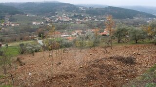 Land for sale in Tarouca, Portugal — €60,000