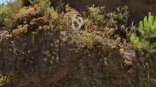 Land for sale in Amarante, Portugal — €55,000