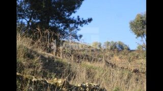 Terreno em Carrazeda de Ansiães