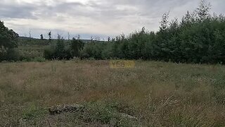 Land for sale in Tondela, Portugal — €7,900