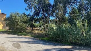Land for sale in Mealhada, Portugal — €56,000