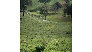Land for sale in Santiago do Cacém, Portugal — €350,000