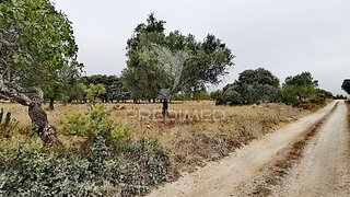 Land for sale in Alcanena, Portugal — €13,000