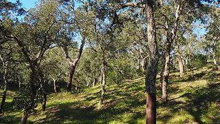 Land for sale in Santiago do Cacém, Portugal — €140,000