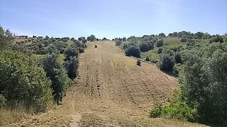 Terreno de 12 280 m² em Santarém