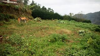 Terreno em São Vicente · 864 m² · 75 000 €