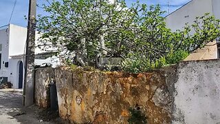 Terreno · 39 m² · 110 000 €
