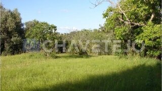 Land for sale in Torres Novas, Portugal — €28,500