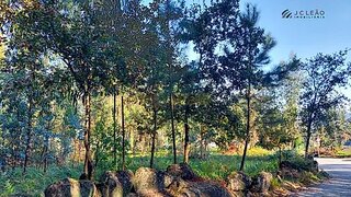 Land for sale in Paredes, Portugal — €85,000