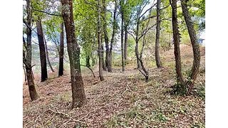 Land for sale in Sever do Vouga, Portugal — €55,000