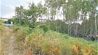 Land for sale in Viseu, Portugal — €35,000