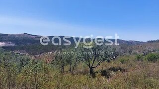 Land for sale in Odemira, Portugal — €58,000
