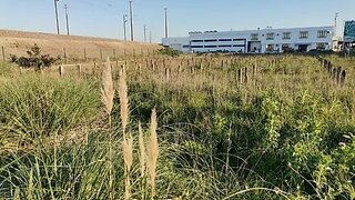 Land for sale in Ílhavo, Portugal — €460,000