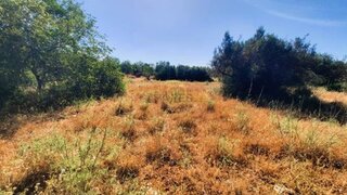 Land for sale in Loulé, Portugal — €19,975