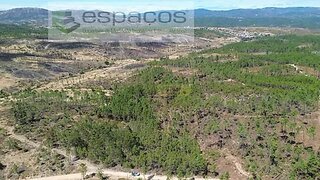 Terreno para venda em Castelo Branco, Portugal — 10 000 €